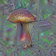 n13054560